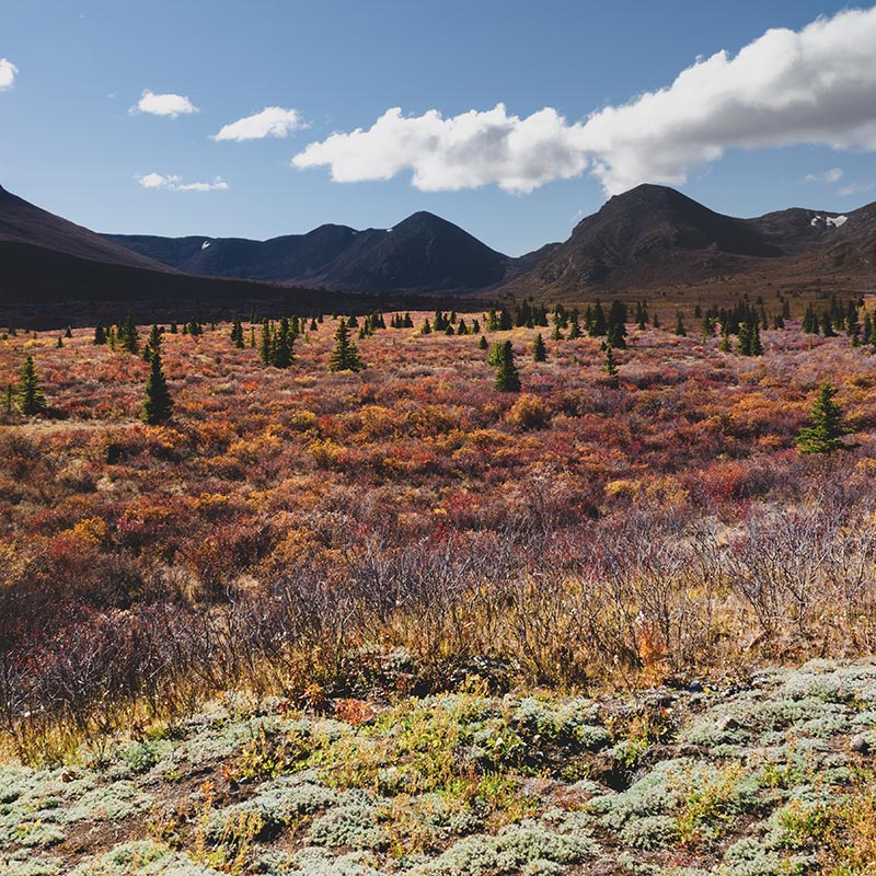 Northern Yukon Where to Stay Overnight
