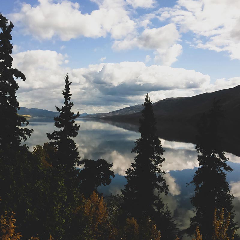 Campbell Region Vacation Rentals